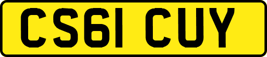 CS61CUY