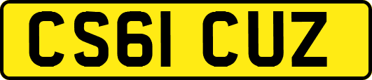 CS61CUZ