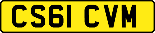 CS61CVM