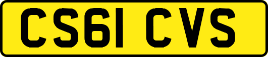 CS61CVS