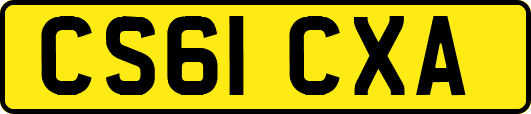 CS61CXA