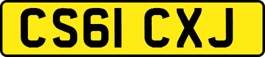 CS61CXJ