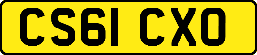 CS61CXO