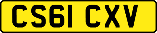 CS61CXV