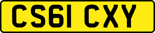 CS61CXY