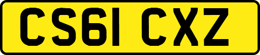 CS61CXZ