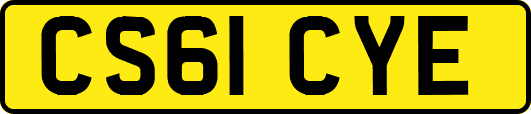 CS61CYE