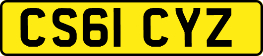 CS61CYZ