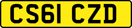 CS61CZD