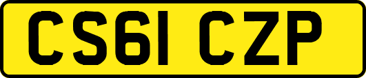 CS61CZP