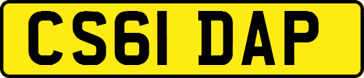 CS61DAP