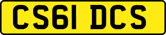 CS61DCS