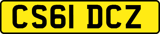 CS61DCZ