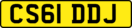 CS61DDJ