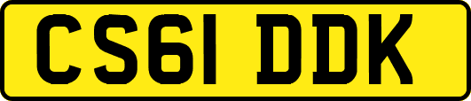 CS61DDK