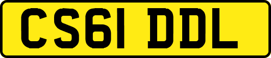 CS61DDL