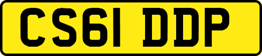 CS61DDP