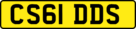 CS61DDS
