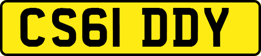 CS61DDY