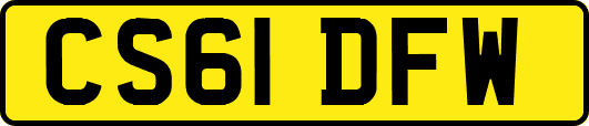 CS61DFW
