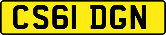 CS61DGN