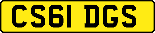 CS61DGS
