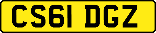 CS61DGZ