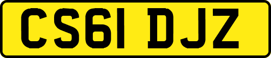 CS61DJZ
