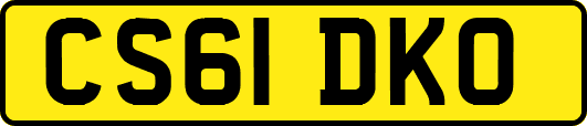 CS61DKO
