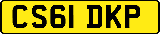CS61DKP