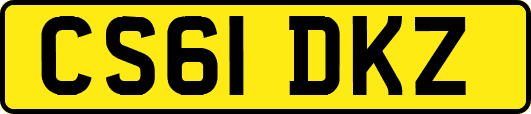 CS61DKZ