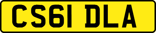 CS61DLA