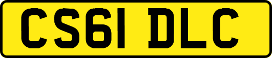 CS61DLC