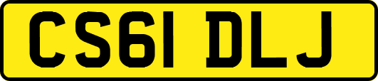 CS61DLJ