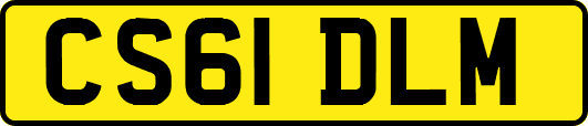 CS61DLM