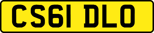 CS61DLO