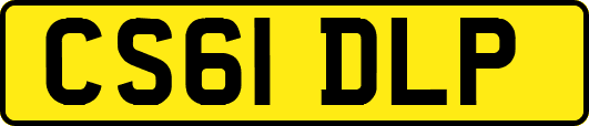 CS61DLP
