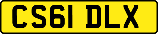 CS61DLX