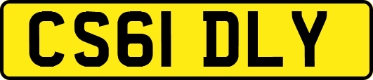 CS61DLY