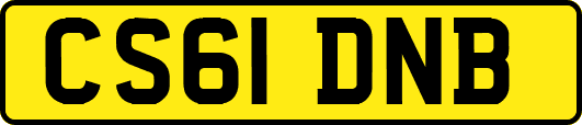 CS61DNB