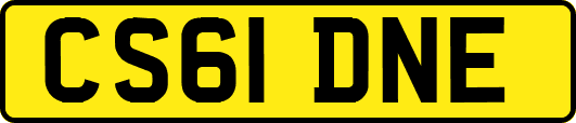 CS61DNE