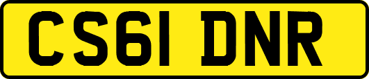 CS61DNR
