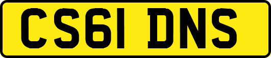CS61DNS