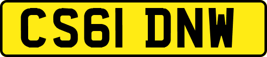 CS61DNW