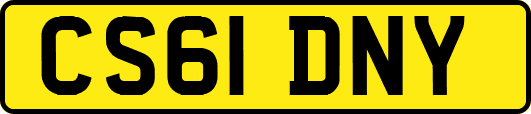 CS61DNY