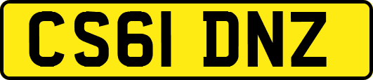CS61DNZ