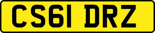 CS61DRZ