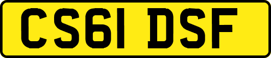 CS61DSF