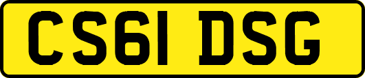 CS61DSG