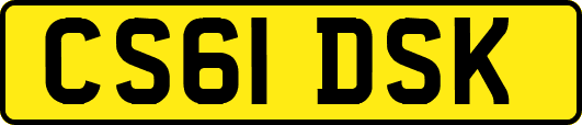CS61DSK